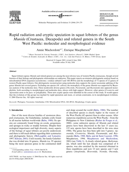Rapid Radiation and Cryptic Speciation in Squat Lobsters of the Genus Munida