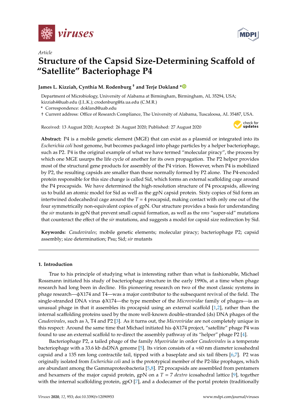 Structure of the Capsid Size-Determining Scaffold Of