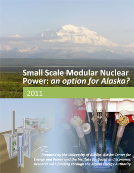 Small-Scale Modular Nuclear Power: an Option for Alaska?