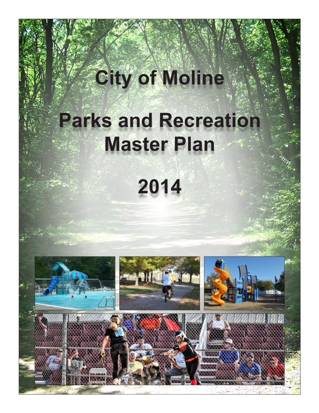 City of Moline Parks and Recreation Master Plan 2014 - DocsLib