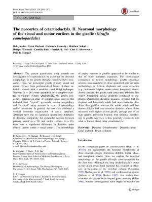 The Neocortex of Cetartiodactyls. II. Neuronal Morphology of the Visual and Motor Cortices in the Giraffe (Giraffa Camelopardalis)
