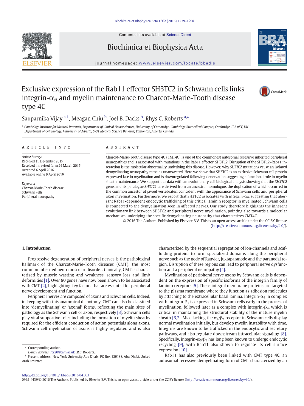 Exclusive Expression of the Rab11 Effector SH3TC2 in Schwann Cells Links Integrin-Α6 and Myelin Maintenance to Charcot-Marie-Tooth Disease Type 4C