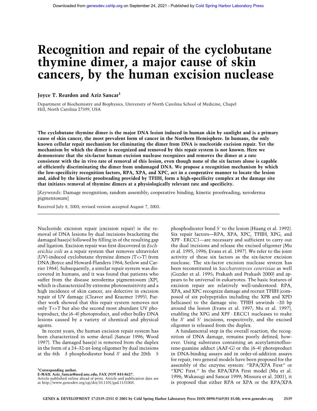 Recognition and Repair of the Cyclobutane Thymine Dimer, a Major Cause of Skin Cancers, by the Human Excision Nuclease