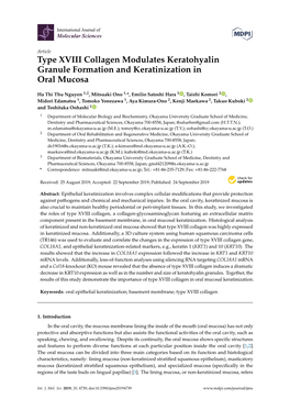 Type XVIII Collagen Modulates Keratohyalin Granule Formation and Keratinization in Oral Mucosa