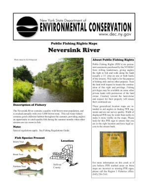 Public Fishing Rights Neversink River
