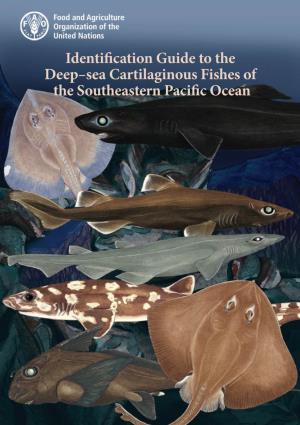 Identification Guide to the Deep-Sea Cartilaginous Fishes of The