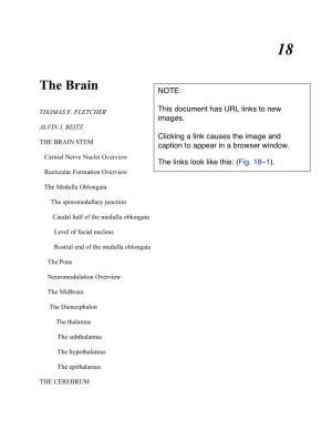 The Brain NOTE