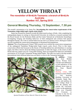YELLOW THROAT the Newsletter of Birdlife Tasmania: a Branch of Birdlife Australia Number 107, Spring 2019 General Meeting Thursday, 12 September, 7.30 Pm