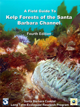 Kelp Forests of the Santa Barbara Channel