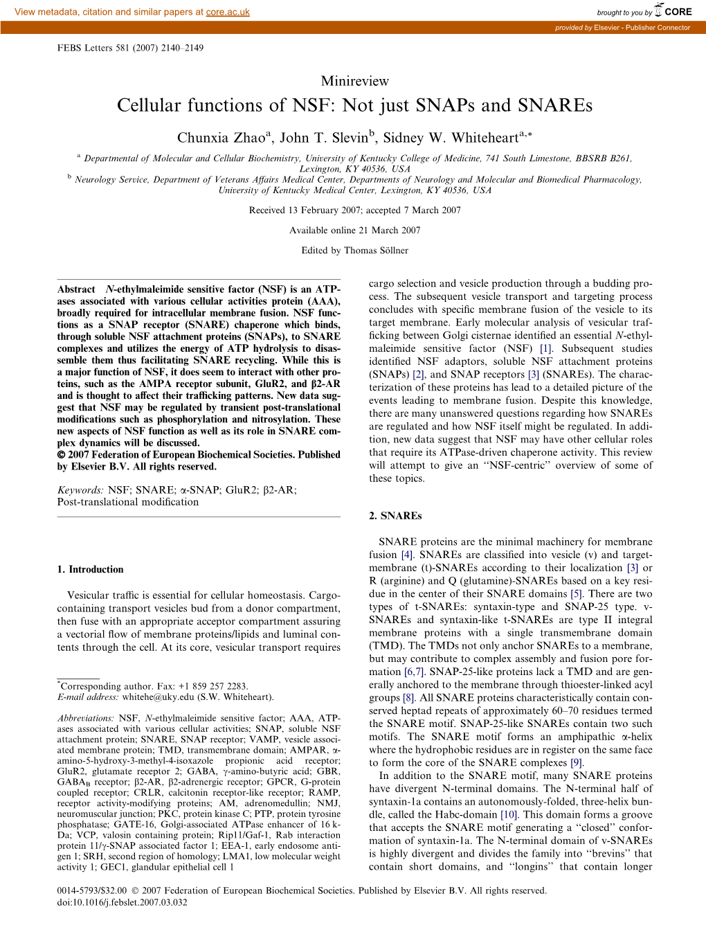 Cellular Functions of NSF: Not Just Snaps and Snares