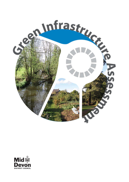 Green Infrastructure Assessment 1.0 Introduction