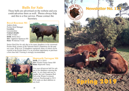 Bulls for Sale Newsletter No