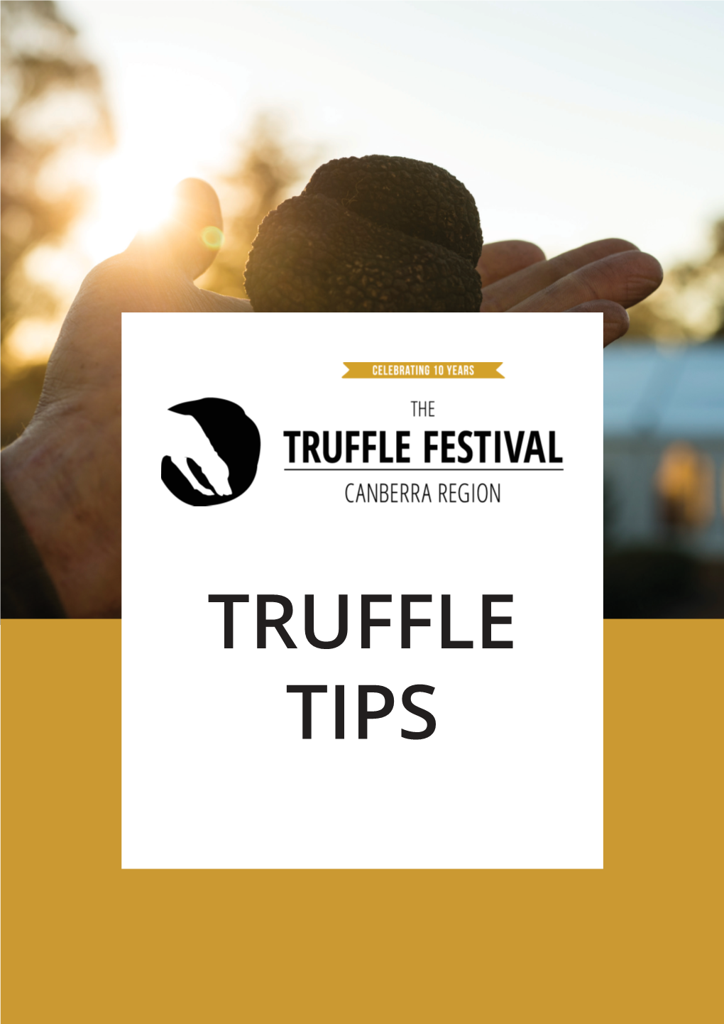 Truffle Tips About the Festival