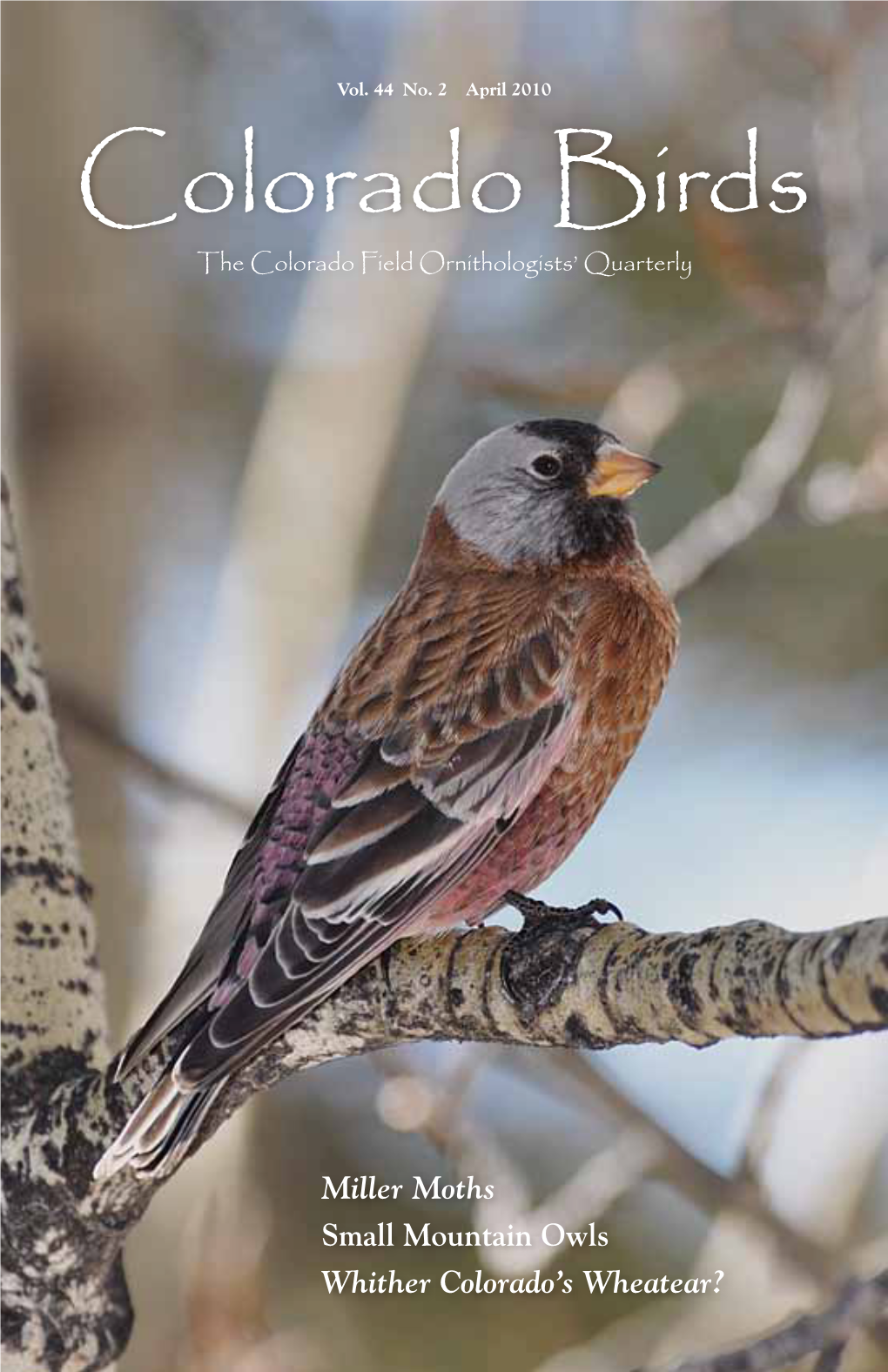 Colorado Birds the Colorado Field Ornithologists’ Quarterly