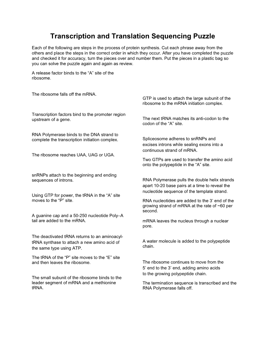 Transcription and Translation Sequencing Puzzle