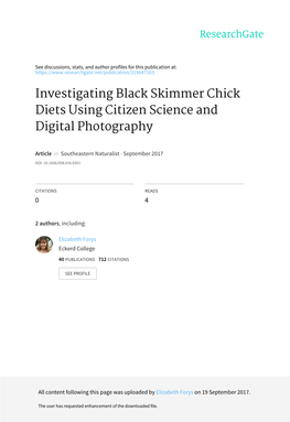 Investigating Black Skimmer Chick Diets Using Citizen Science and Digital Photography