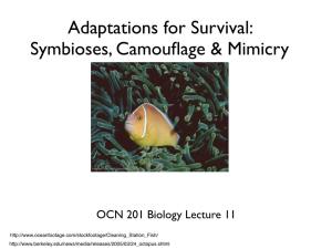 Adaptations for Survival: Symbioses, Camouflage