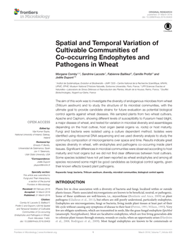 Spatial and Temporal Variation of Cultivable Communities of Co-Occurring Endophytes and Pathogens in Wheat