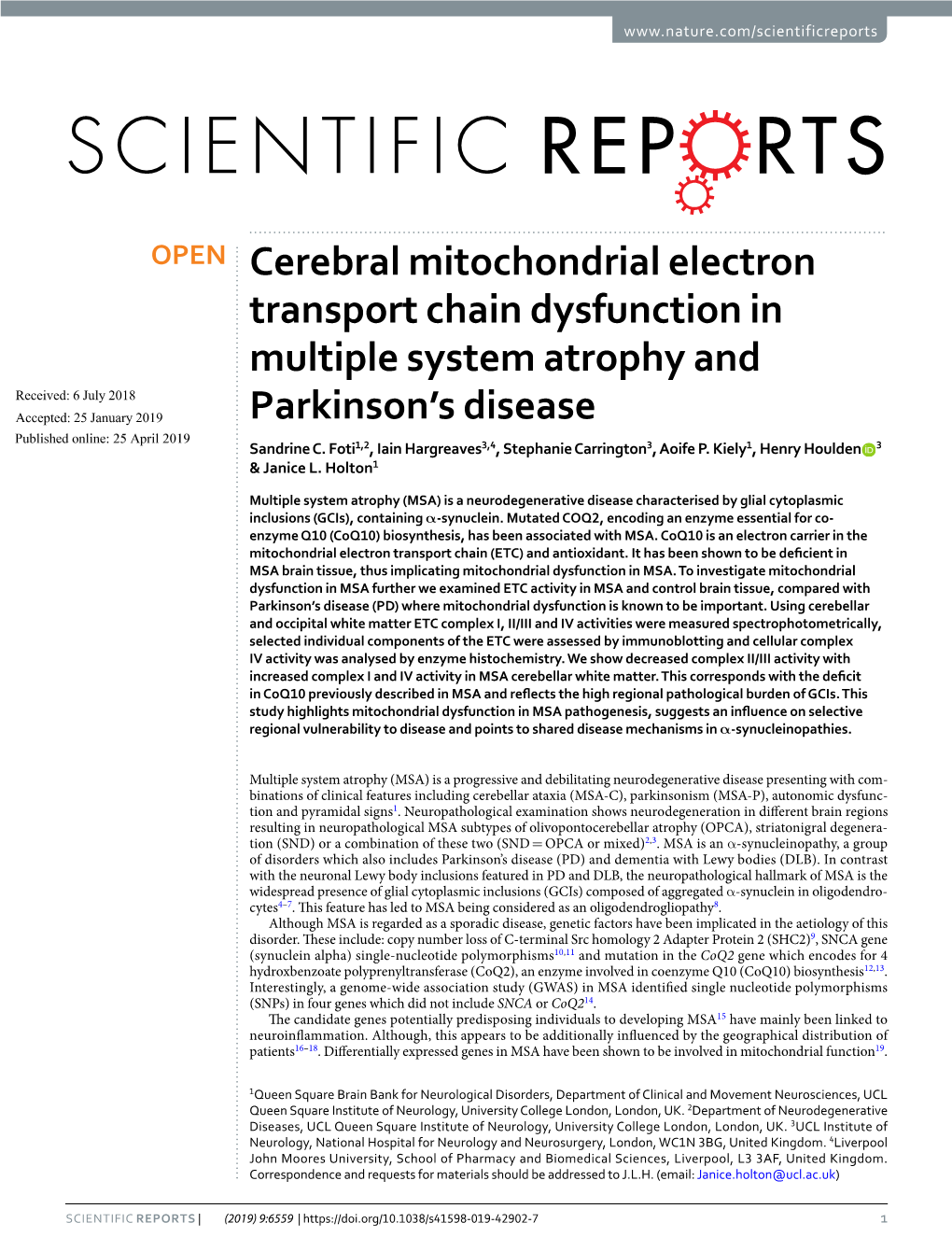 Cerebral Mitochondrial Electron Transport Chain Dysfunction In