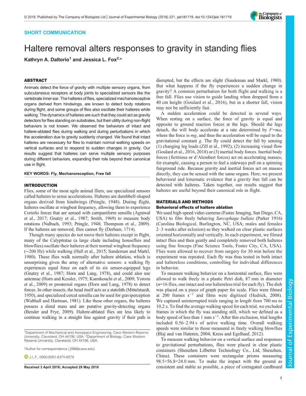 Haltere Removal Alters Responses to Gravity in Standing Flies Kathryn A