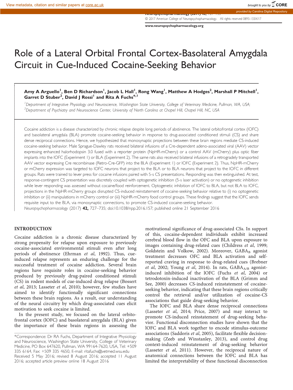 Role of a Lateral Orbital Frontal Cortex-Basolateral Amygdala Circuit in Cue-Induced Cocaine-Seeking Behavior