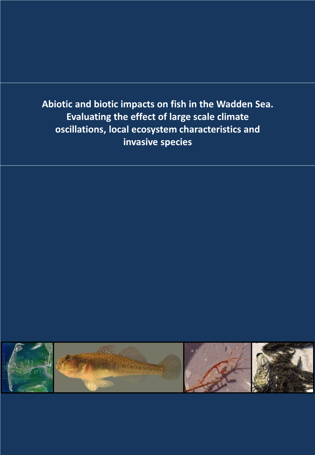 Abiotic and Biotic Impacts on Fish in the Wadden Sea. Evaluating The