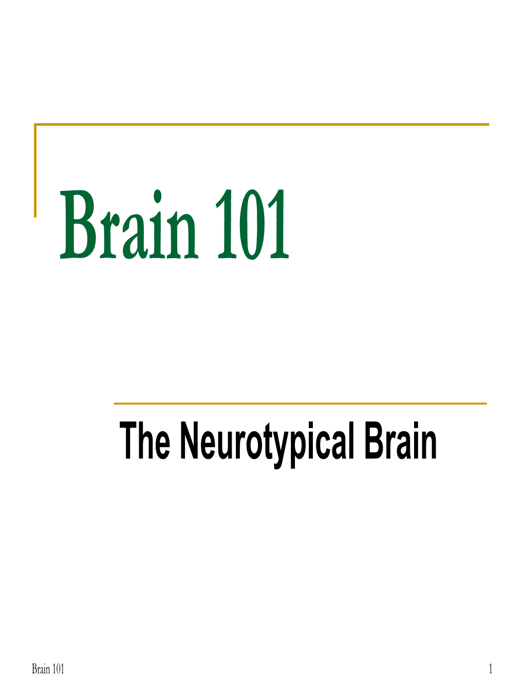 The Brain: Hemispheres, Lobes, and Levels