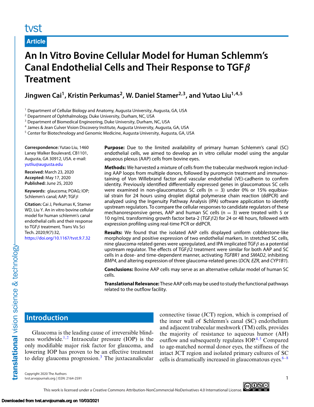 An in Vitro Bovine Cellular Model for Human Schlemm's Canal
