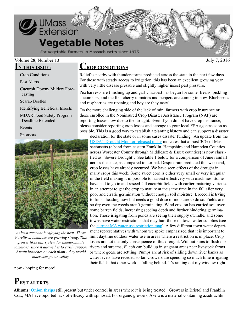 CROP CONDITIONS PEST ALERTS in THIS ISSUE: Volume 28