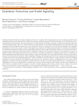 The Pitx2 Homeobox Protein Is Required Early for Endoderm