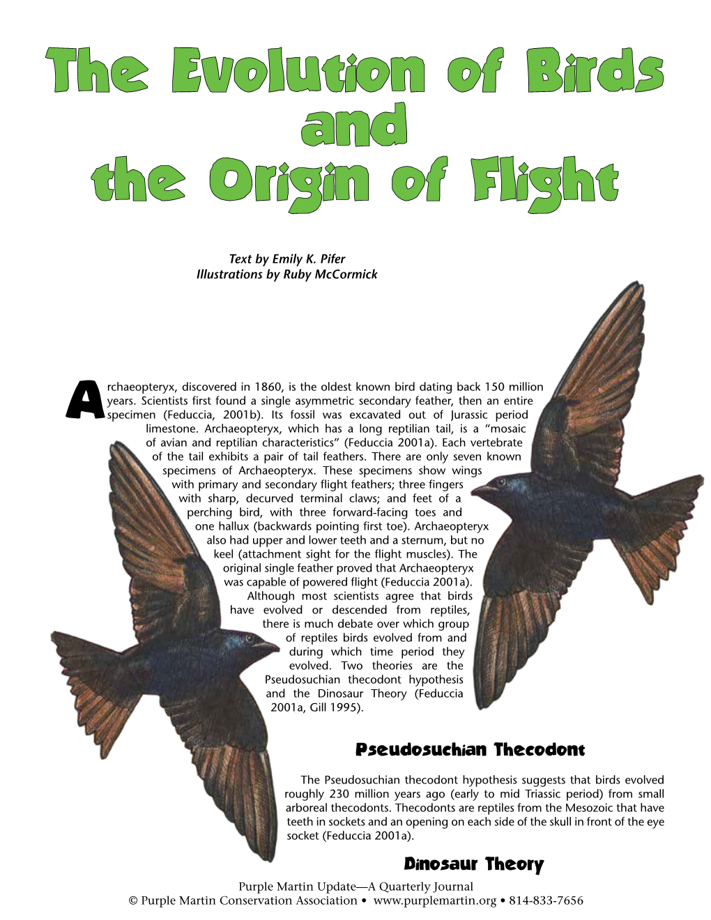 The Evolution Of Birds And The Origin Of Flight - DocsLib