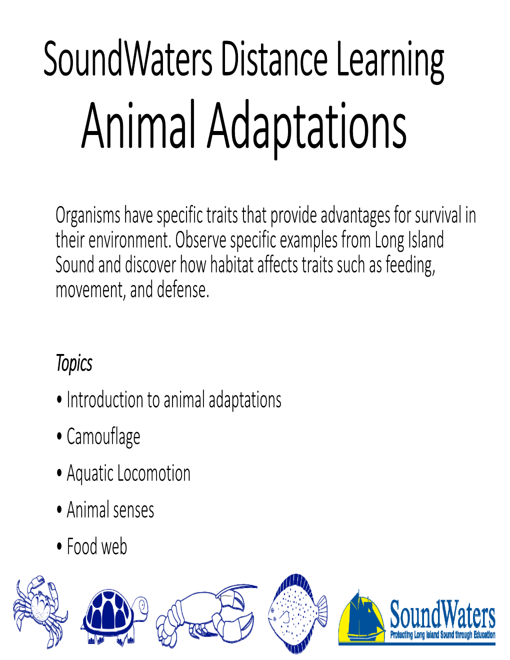 Animal Adaptations