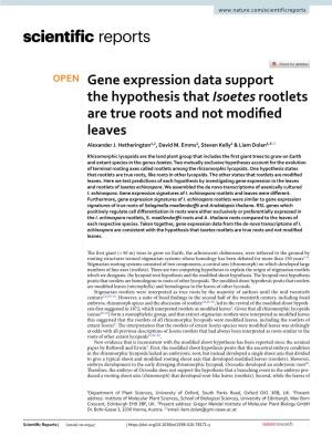 Gene Expression Data Support the Hypothesis That Isoetes Rootlets Are True Roots and Not Modifed Leaves Alexander J