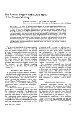 The Arterial Supply of the Dura Mater of the Rhesus Monkey '