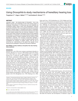 Using Drosophila to Study Mechanisms of Hereditary Hearing Loss Tongchao Li1,*, Hugo J