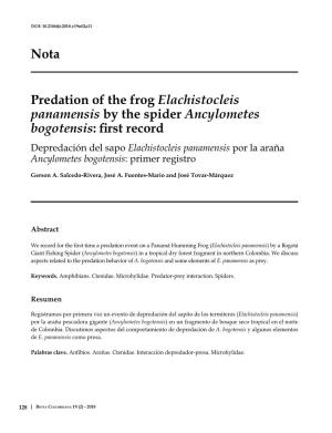 Predation of the Frog Elachistocleis Panamensis By