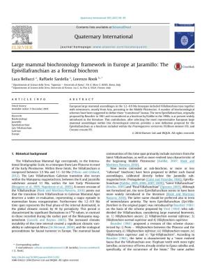 Large Mammal Biochronology Framework in Europe at Jaramillo: the Epivillafranchian As a Formal Biochron