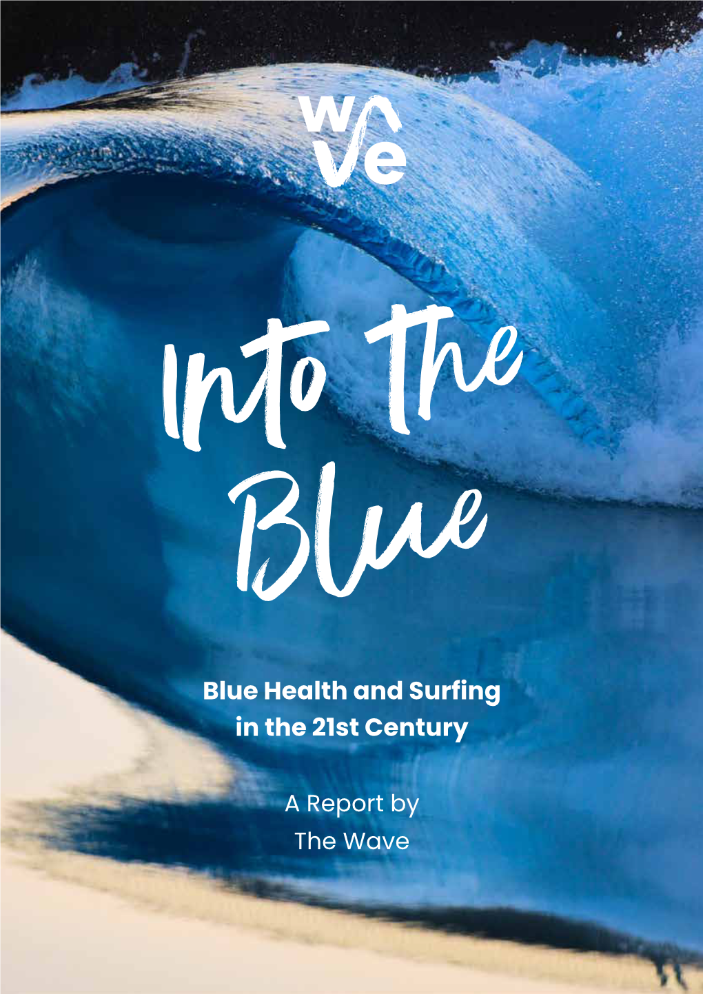 Blue Health and Surfing in the 21St Century Report