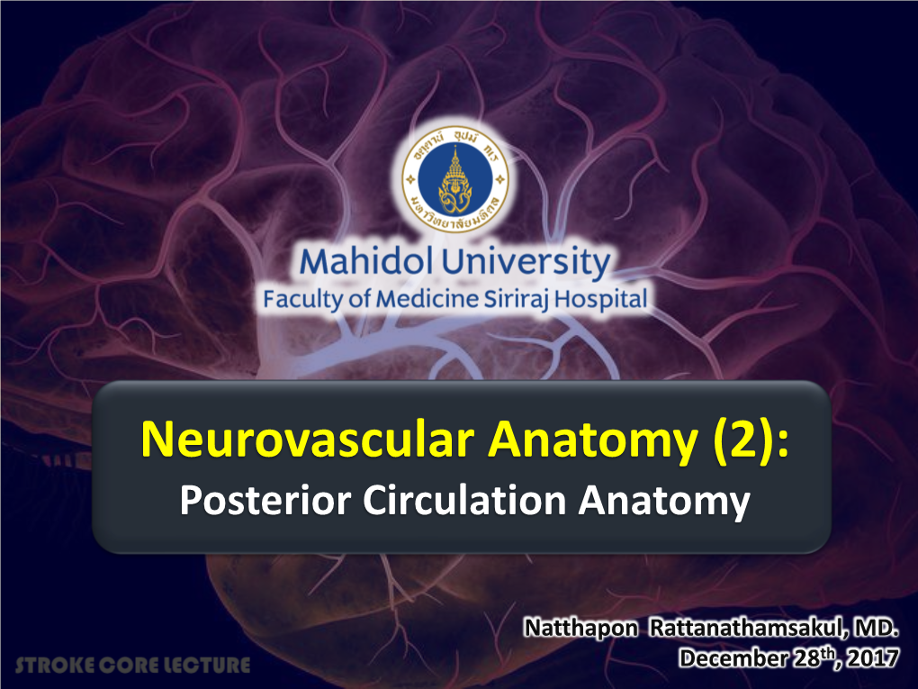 Neurovascular Anatomy (2): Posterior Circulation Anatomy