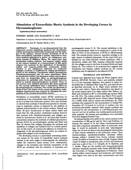 Glycosaminoglycans (Epithelium/Tissue Interaction) STEPHEN MEIER and ELIZABETH D