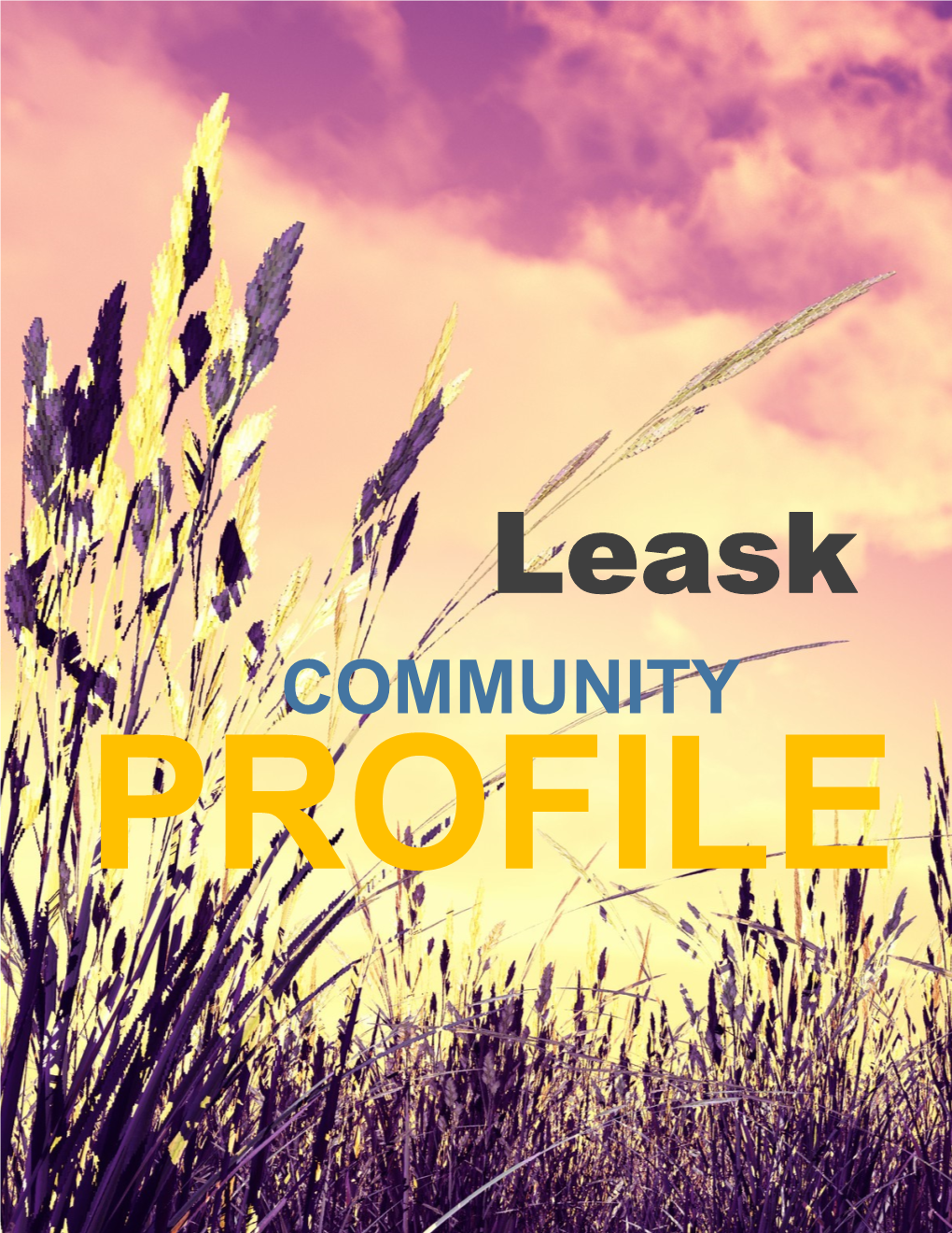 Community Profile