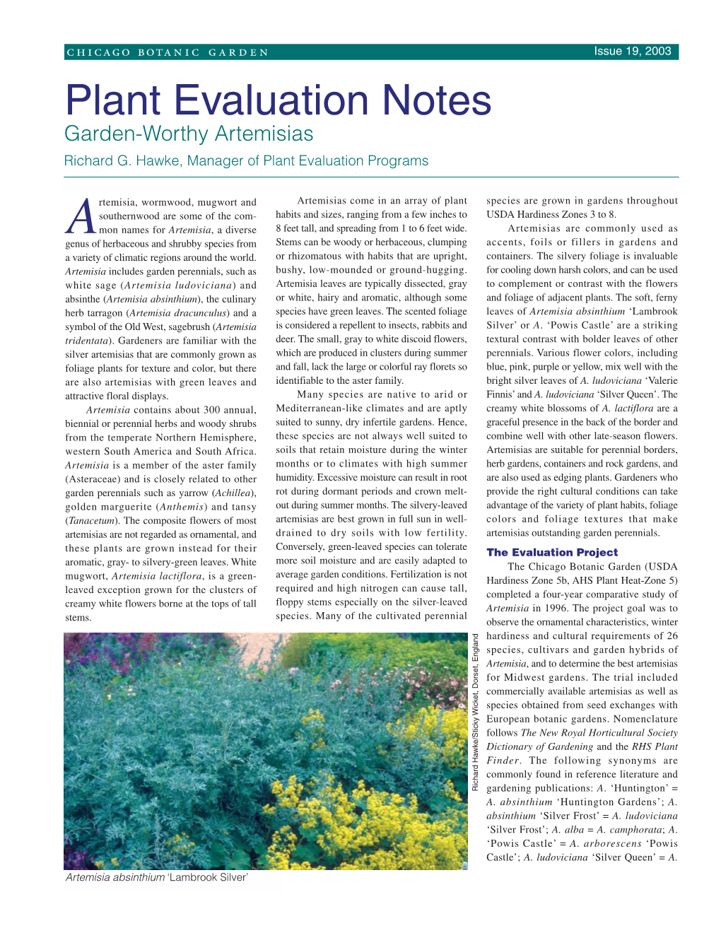 Plant Evaluation Notes Garden-Worthy Artemisias Richard G