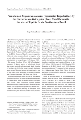 Predation on Tropidurus Torquatus (Squamata: Tropiduridae) by the Guira Cuckoo Guira Guira (Aves: Cuculiformes) in the State of Espírito Santo, Southeastern Brazil