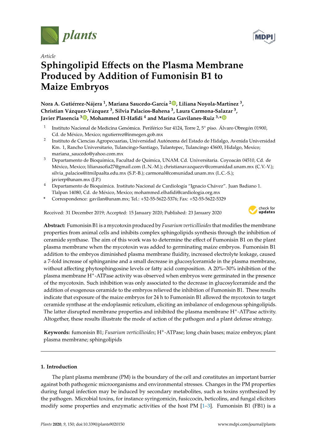 Sphingolipid Effects on the Plasma Membrane Produced by Addition Of