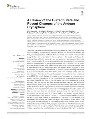 A Review of the Current State and Recent Changes of the Andean Cryosphere
