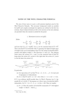 NOTES on the WEYL CHARACTER FORMULA the Aim of These Notes