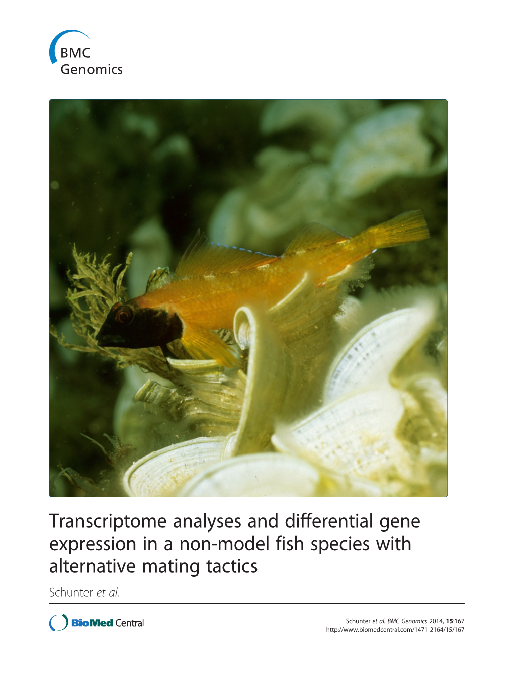 Transcriptome Analyses and Differential Gene Expression in a Non-Model Fish Species with Alternative Mating Tactics Schunter Et Al