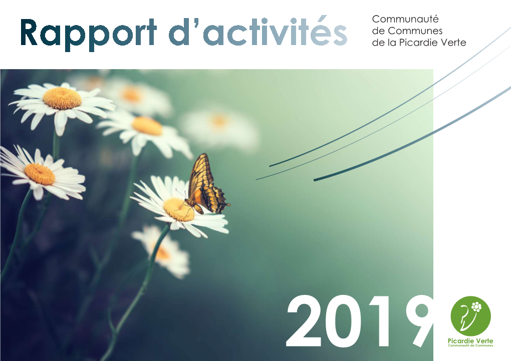 Le Rapport D'activités 2019