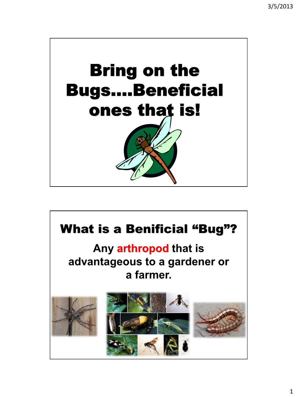 Bring on the Bugs….Beneficial Ones That Is!