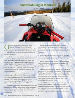 Snowmobiling in Montana by James T